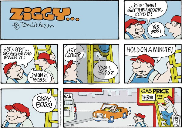 Ziggy on Sunday August 11, 2019 Comic Strip