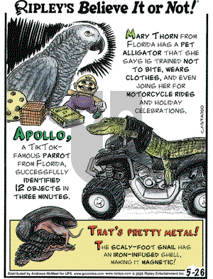 Ripley's Believe It or Not on Monday May 26, 2025 Comic Strip
