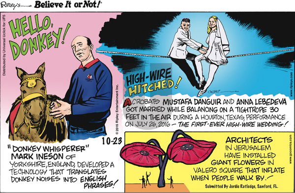 Ripley's Believe It or Not on Sunday October 23, 2016 Comic Strip