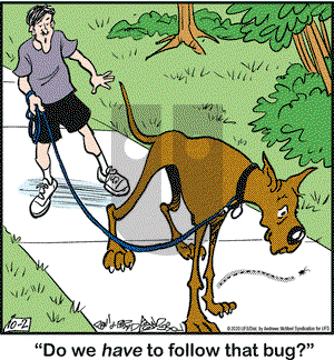 Marmaduke on Friday October 2, 2020 Comic Strip