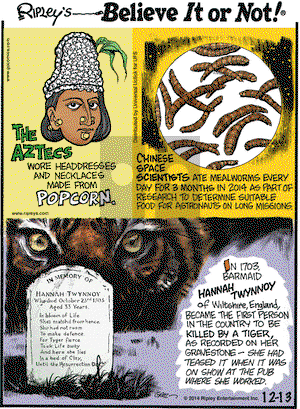 Ripley's Believe It or Not on Saturday December 13, 2014 Comic Strip