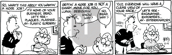 Luann on Saturday June 15, 1991 Comic Strip