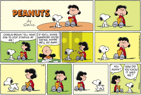 Peanuts on Sunday January 18, 1998 Comic Strip