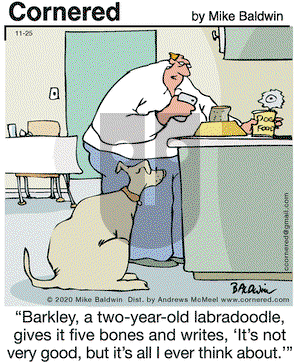 Cornered on Wednesday November 25, 2020 Comic Strip