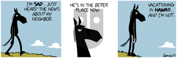 Dark Side of the Horse on Thursday May 30, 2019 Comic Strip