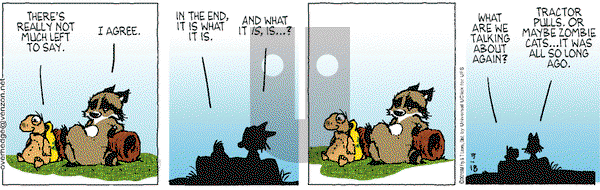 Over the Hedge on Monday May 18, 2015 Comic Strip