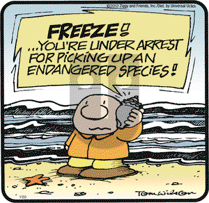 Ziggy on Friday January 20, 2012 Comic Strip