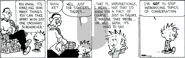 Calvin and Hobbes - Monday December 28, 1992 Comic Strip