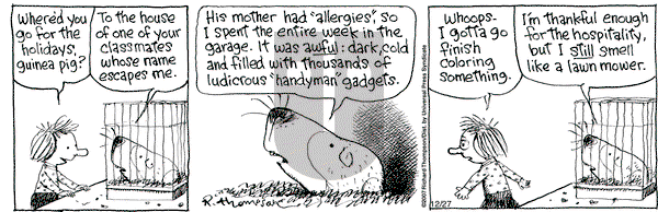 Cul de Sac on Thursday December 27, 2007 Comic Strip