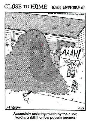 Close to Home on Monday June 12, 2000 Comic Strip