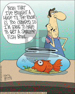 The Flying McCoys on Friday November 8, 2013 Comic Strip