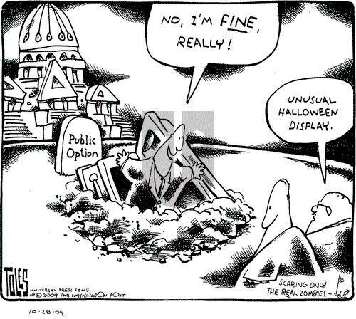 Tom Toles on Wednesday October 28, 2009 Comic Strip