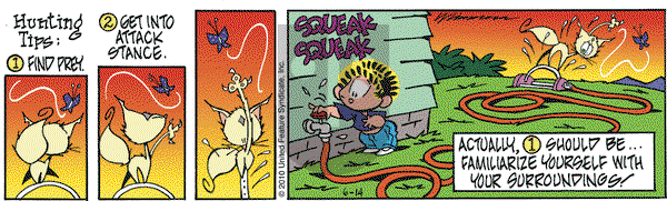 Rose is Rose on Monday June 14, 2010 Comic Strip