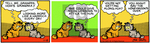 Garfield on Saturday July 11, 1998 Comic Strip