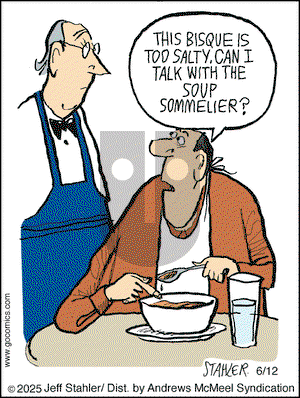 Moderately Confused on Thursday June 12, 2025 Comic Strip