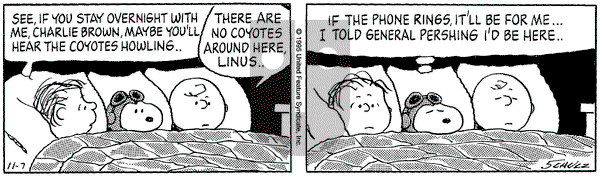 Peanuts on Tuesday November 7, 1995 Comic Strip