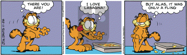 Garfield on Friday November 26, 2004 Comic Strip