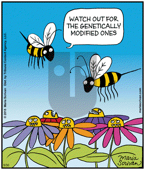 Half Full - Saturday May 30, 2015 Comic Strip
