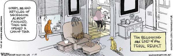 Non Sequitur - Friday November 29, 2024 Comic Strip