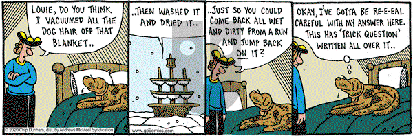 Overboard on Thursday January 30, 2020 Comic Strip
