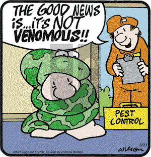 Ziggy on Saturday May 31, 2025 Comic Strip