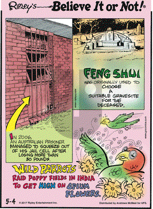 Ripley's Believe It or Not on Thursday May 4, 2017 Comic Strip