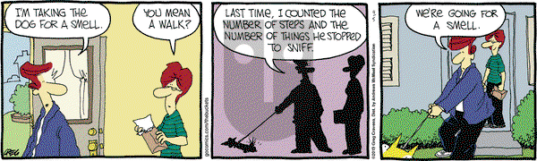 The Buckets on Friday April 5, 2019 Comic Strip
