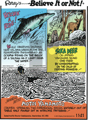 Ripley's Believe It or Not on Wednesday November 21, 2012 Comic Strip