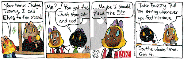 Breaking Cat News on Friday May 16, 2025 Comic Strip