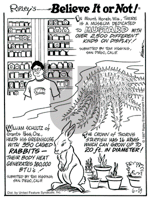 Ripley's Believe It or Not on Friday August 4, 2000 Comic Strip