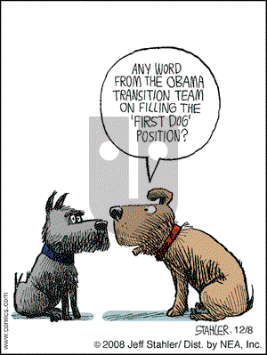 Moderately Confused on Monday December 8, 2008 Comic Strip