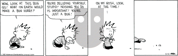 Calvin and Hobbes on Friday June 12, 2015 Comic Strip