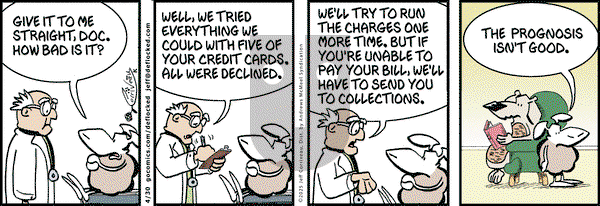 DeFlocked on Wednesday April 30, 2025 Comic Strip