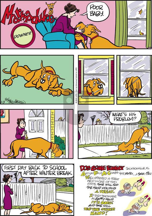 Marmaduke on Sunday January 3, 2016 Comic Strip