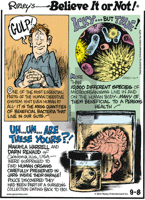 Ripley's Believe It or Not on Saturday September 8, 2012 Comic Strip