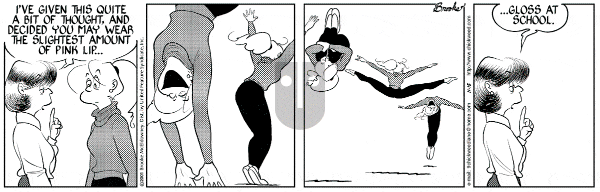 9 Chickweed Lane - Thursday November 15, 2001 Comic Strip
