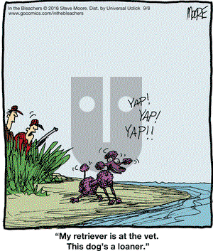 In the Bleachers on Thursday September 8, 2016 Comic Strip