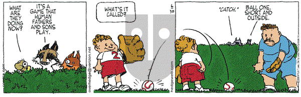Over the Hedge on Sunday August 27, 2006 Comic Strip