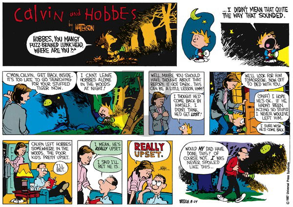 Calvin and Hobbes on Sunday September 27, 1987 Comic Strip