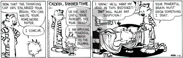 Calvin and Hobbes on Monday November 22, 1993 Comic Strip