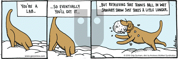Overboard on Thursday January 18, 2018 Comic Strip