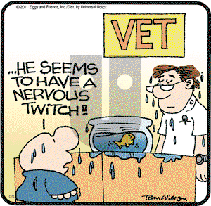 Ziggy on Thursday October 6, 2011 Comic Strip