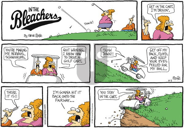 In the Bleachers on Sunday August 2, 1998 Comic Strip