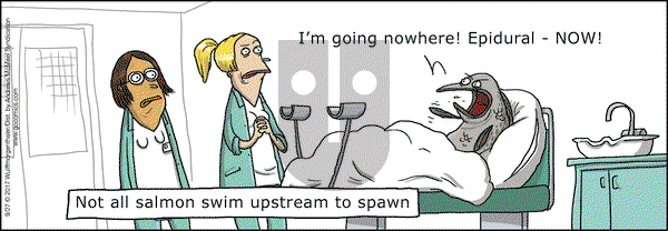 WuMo on Wednesday September 27, 2017 Comic Strip