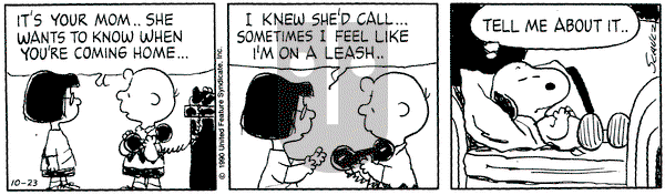 Peanuts on Tuesday October 23, 1990 Comic Strip