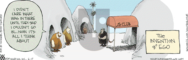 Non Sequitur - Wednesday June 17, 2009 Comic Strip