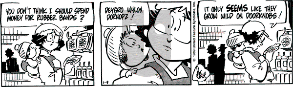 Rose is Rose on Monday January 9, 1989 Comic Strip