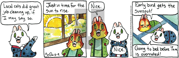 Breaking Cat News - Monday May 9, 2022 Comic Strip
