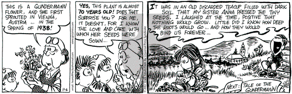 Heart of the City on Tuesday November 6, 2007 Comic Strip
