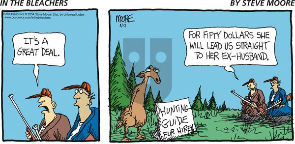 In the Bleachers - Sunday August 17, 2014 Comic Strip